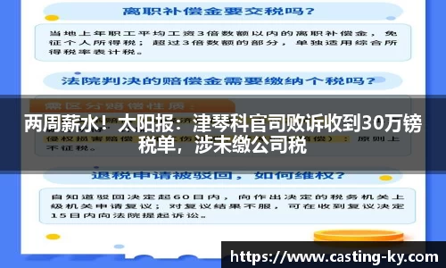 两周薪水！太阳报：津琴科官司败诉收到30万镑税单，涉未缴公司税