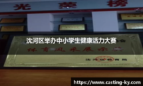 沈河区举办中小学生健康活力大赛
